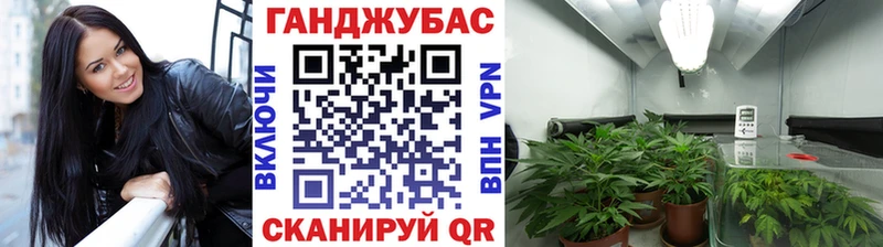 Бошки Шишки SATIVA & INDICA  ОМГ ОМГ сайт  Радужный 